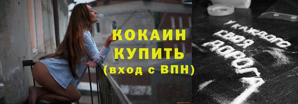 стаф Аркадак