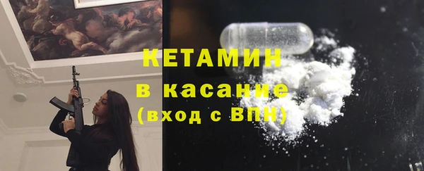 стаф Аркадак