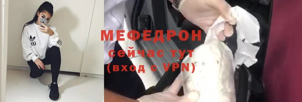 стаф Аркадак