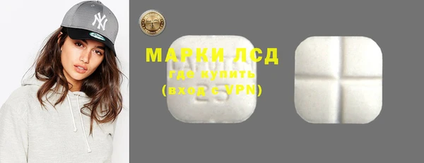 стаф Аркадак