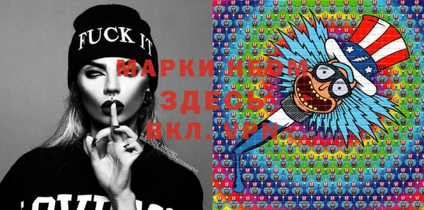 стаф Аркадак