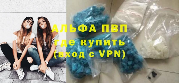 стаф Аркадак