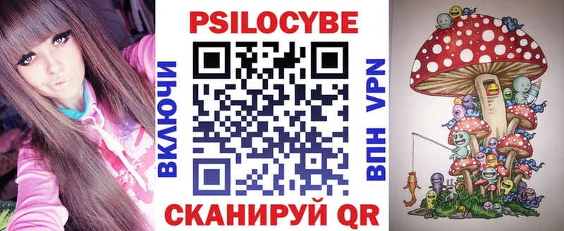 Псилоцибиновые грибы Cubensis  сколько стоит  Пролетарск 